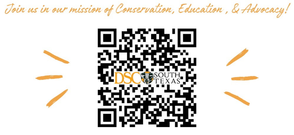 DSC South Texas membership drive QR code